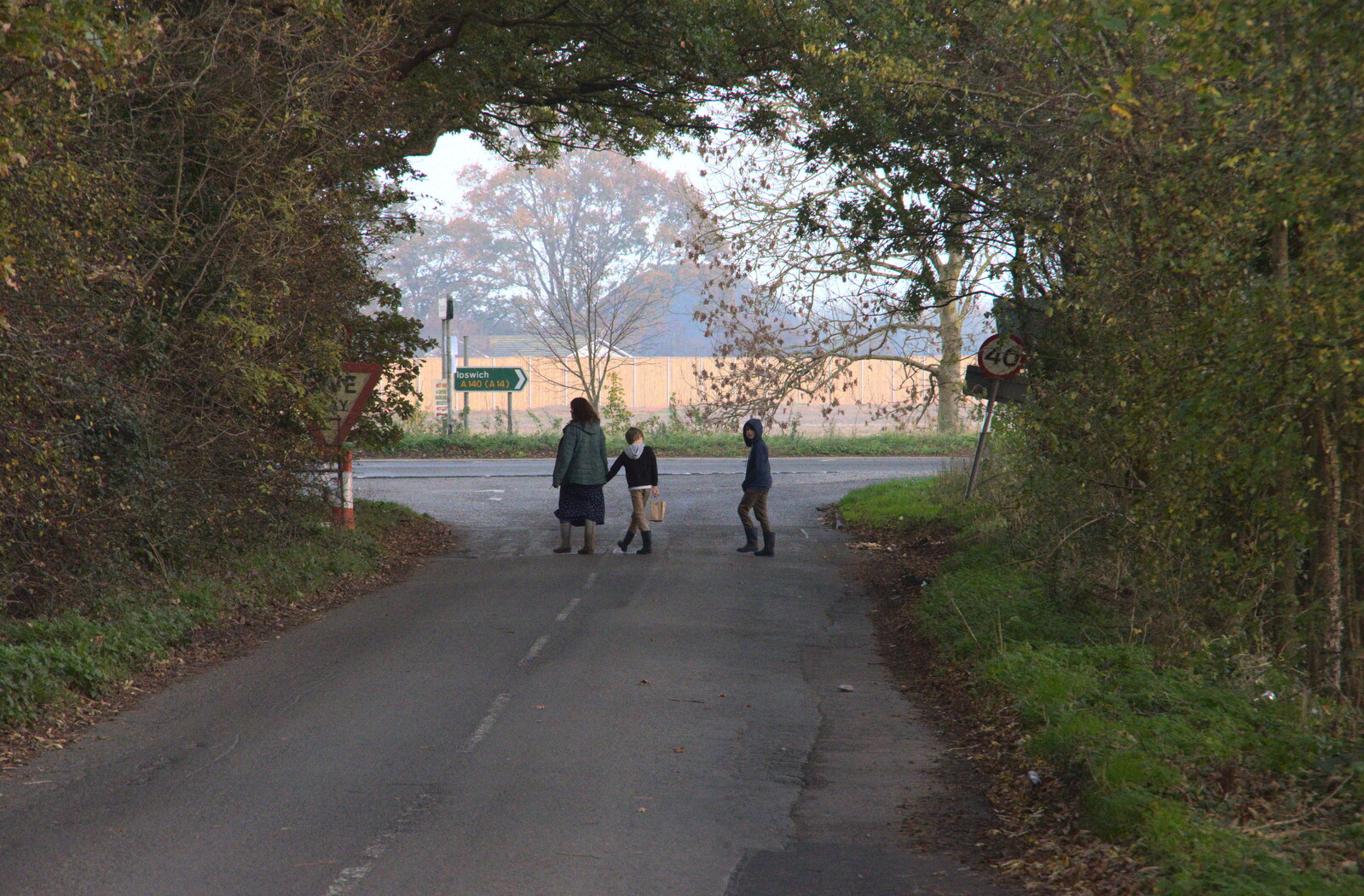 The gang crosses the road from To See the Hairy Pigs, Thrandeston, Suffolk - 7th November 2020