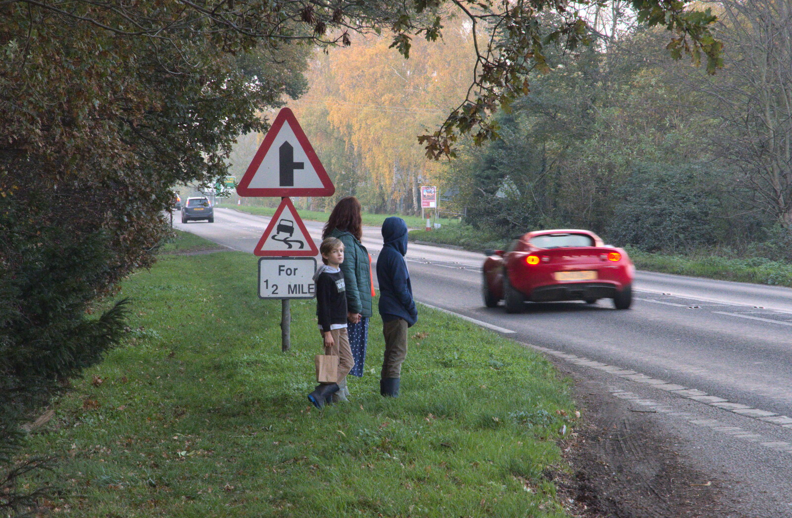 We wait for a safe gap to cross the A140 from To See the Hairy Pigs, Thrandeston, Suffolk - 7th November 2020