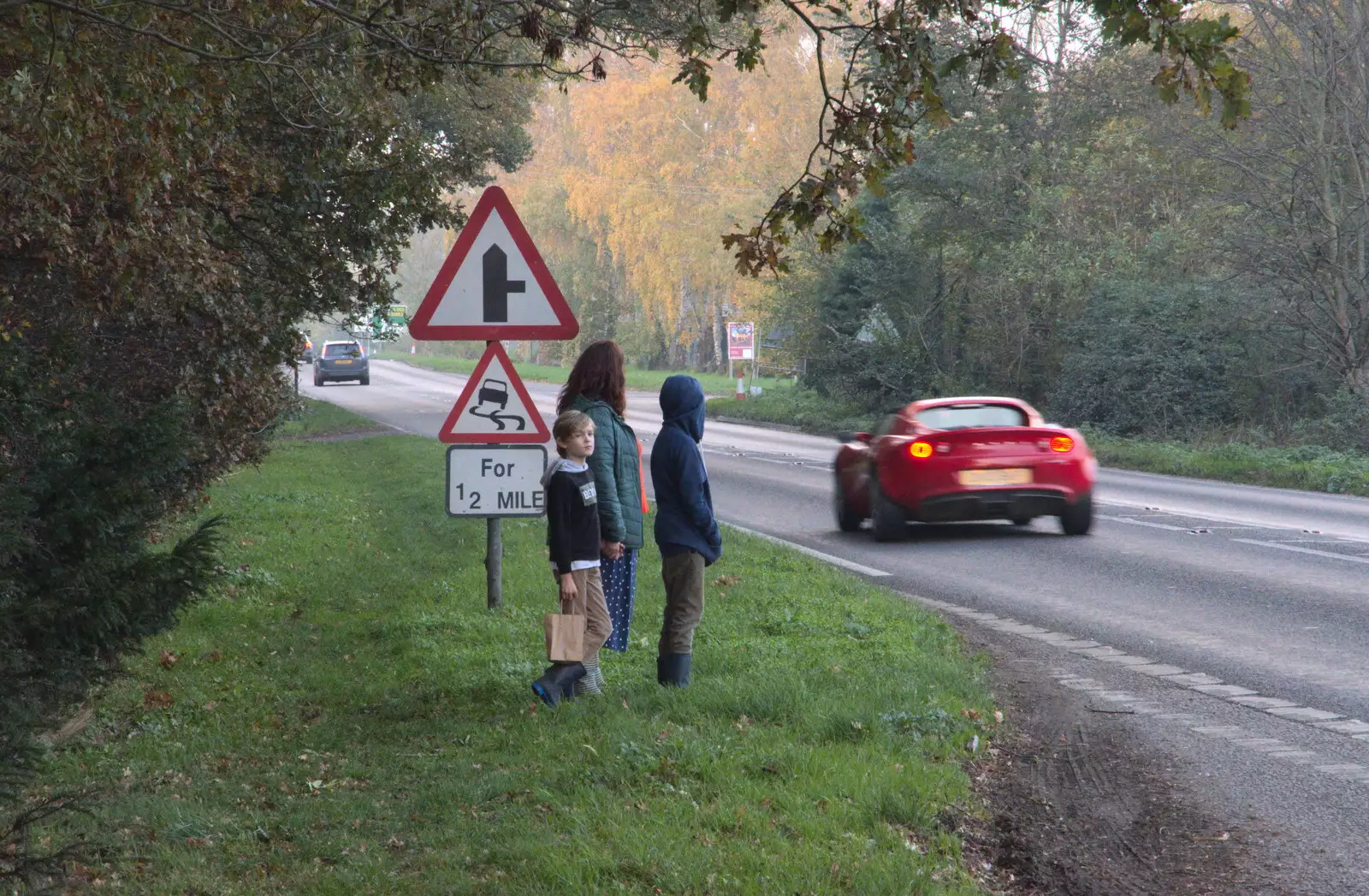 We wait for a safe gap to cross the A140, from To See the Hairy Pigs, Thrandeston, Suffolk - 7th November 2020