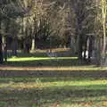 We pass by the deer farm, Drone Flying and the Old Chapel, Thrandeston, Suffolk - 15th November 2020