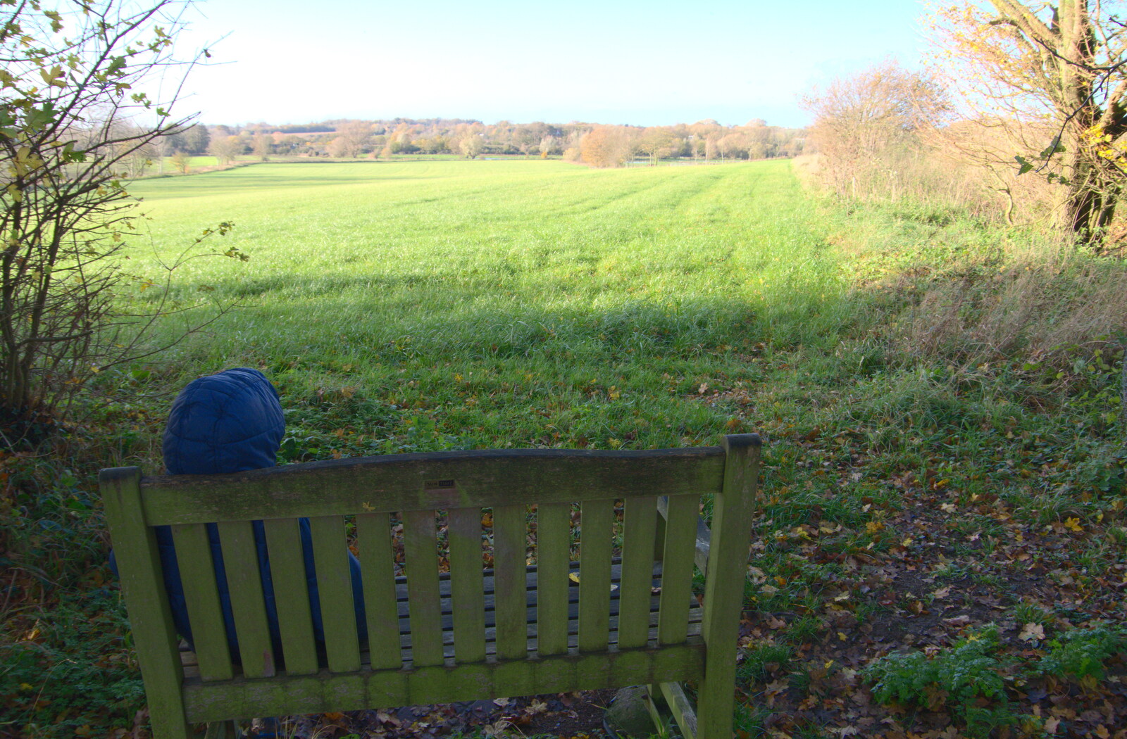 Drone Flying and the Old Chapel, Thrandeston, Suffolk - 15th November 2020: Harry has a pause on Peter Allen's bench