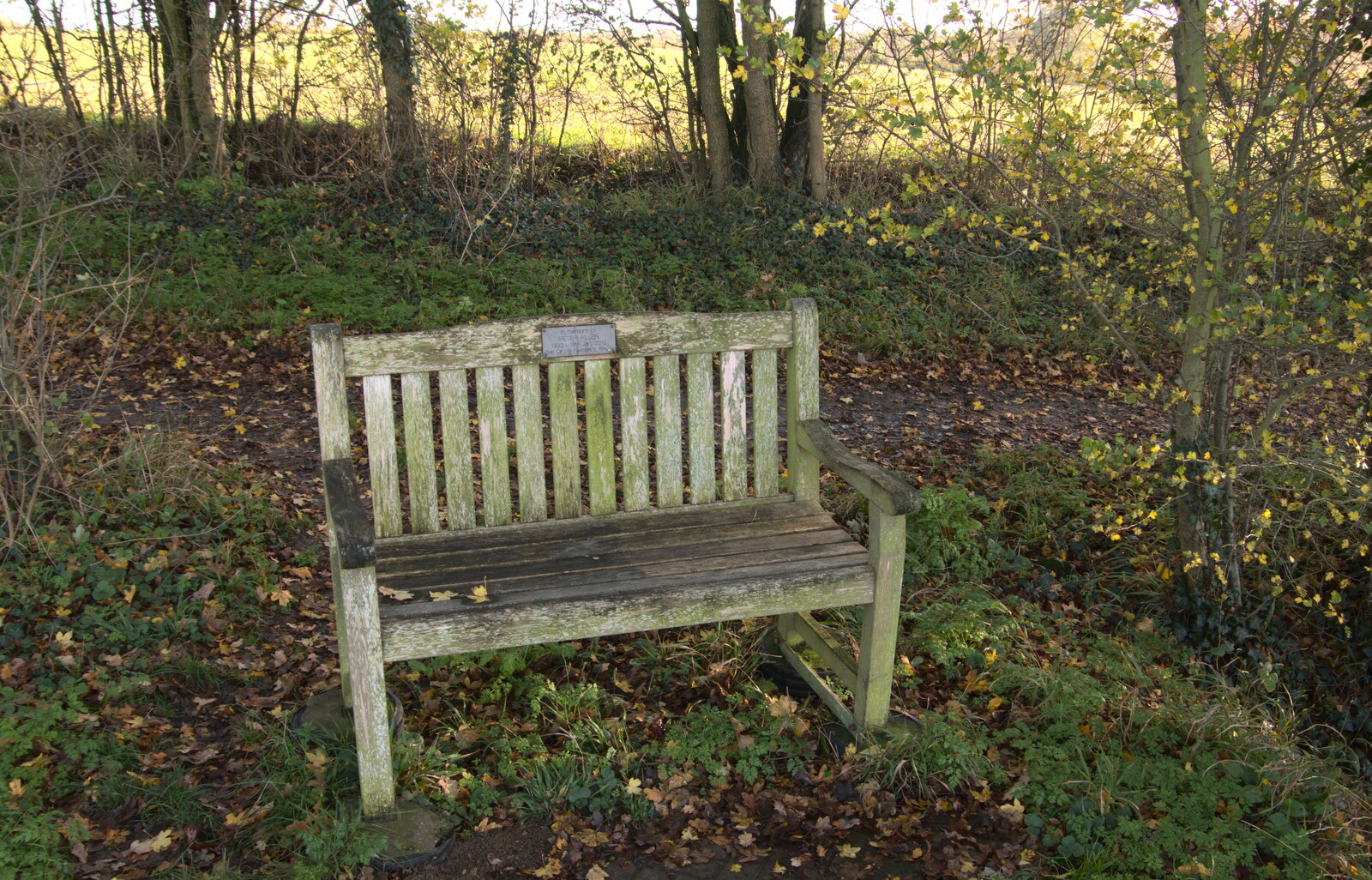 A bench dedicated to the late Peter Allen from Drone Flying and the Old Chapel, Thrandeston, Suffolk - 15th November 2020