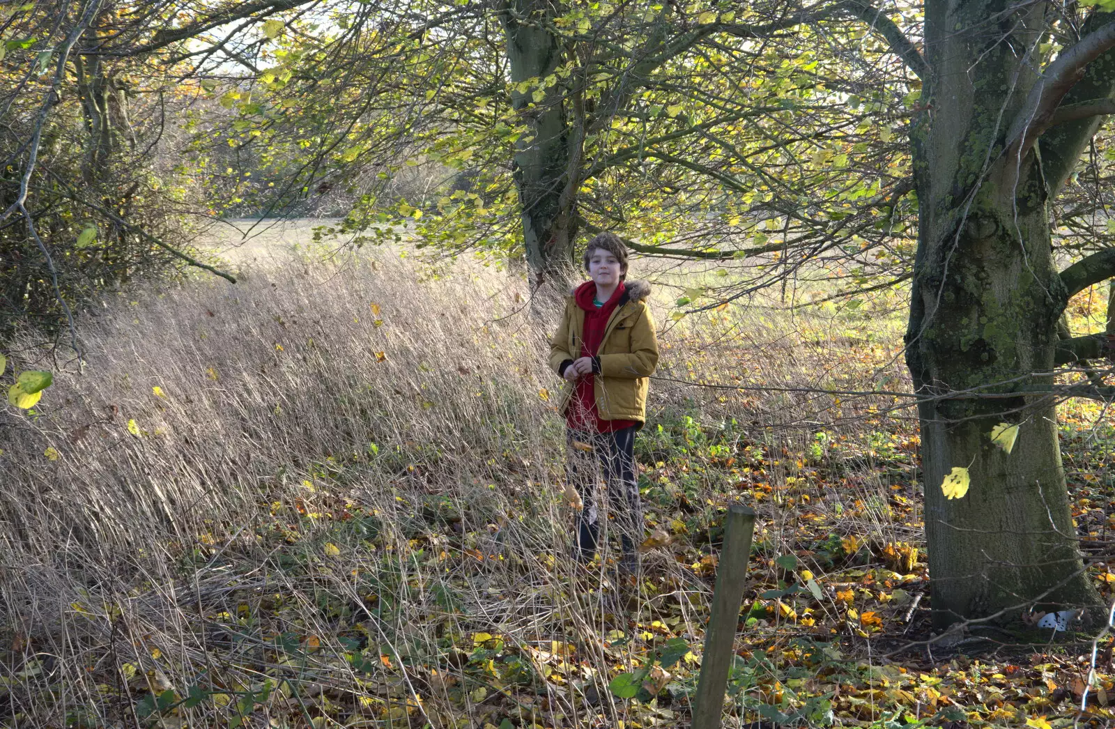 Fred roams around, from Drone Flying and the Old Chapel, Thrandeston, Suffolk - 15th November 2020