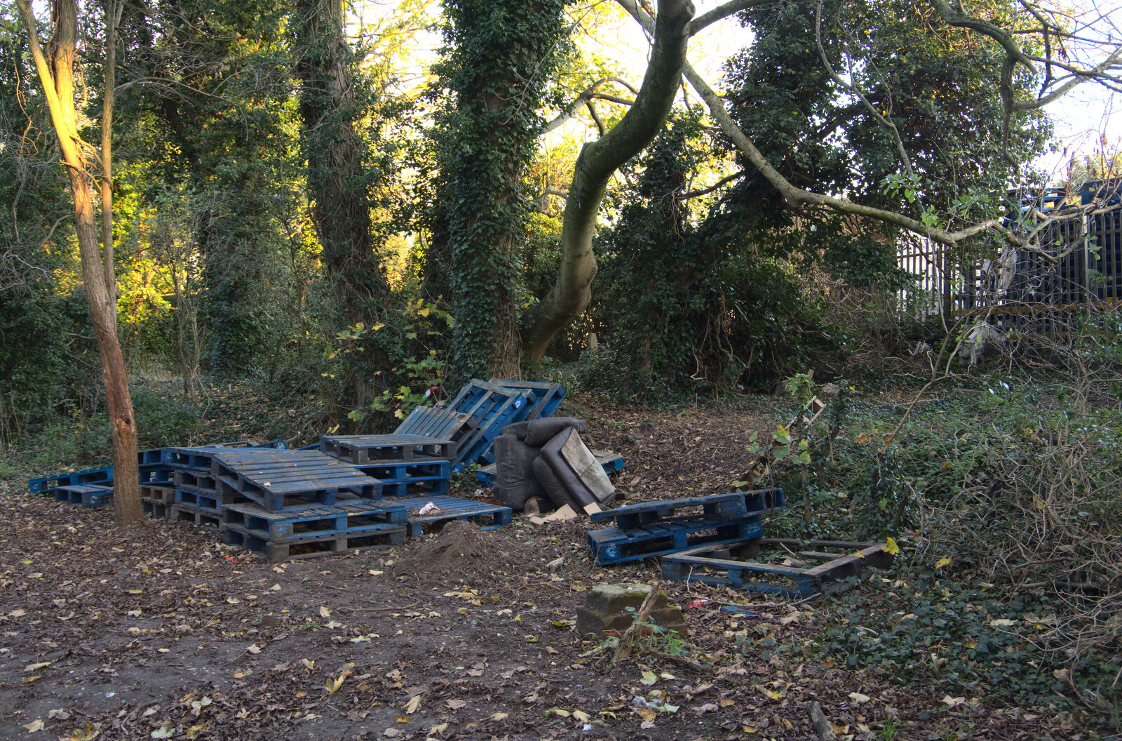 The pile o' pallets from The Dereliction of Eye, Suffolk - 22nd November 2020
