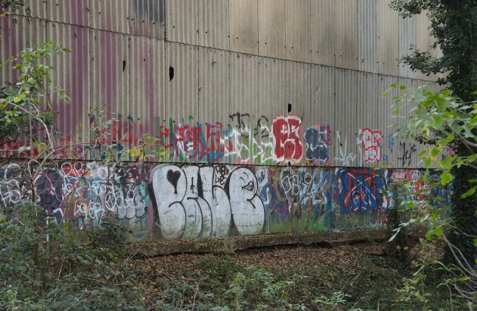 Graffiti on the chicken factory's shed, from The Dereliction of Eye, Suffolk - 22nd November 2020