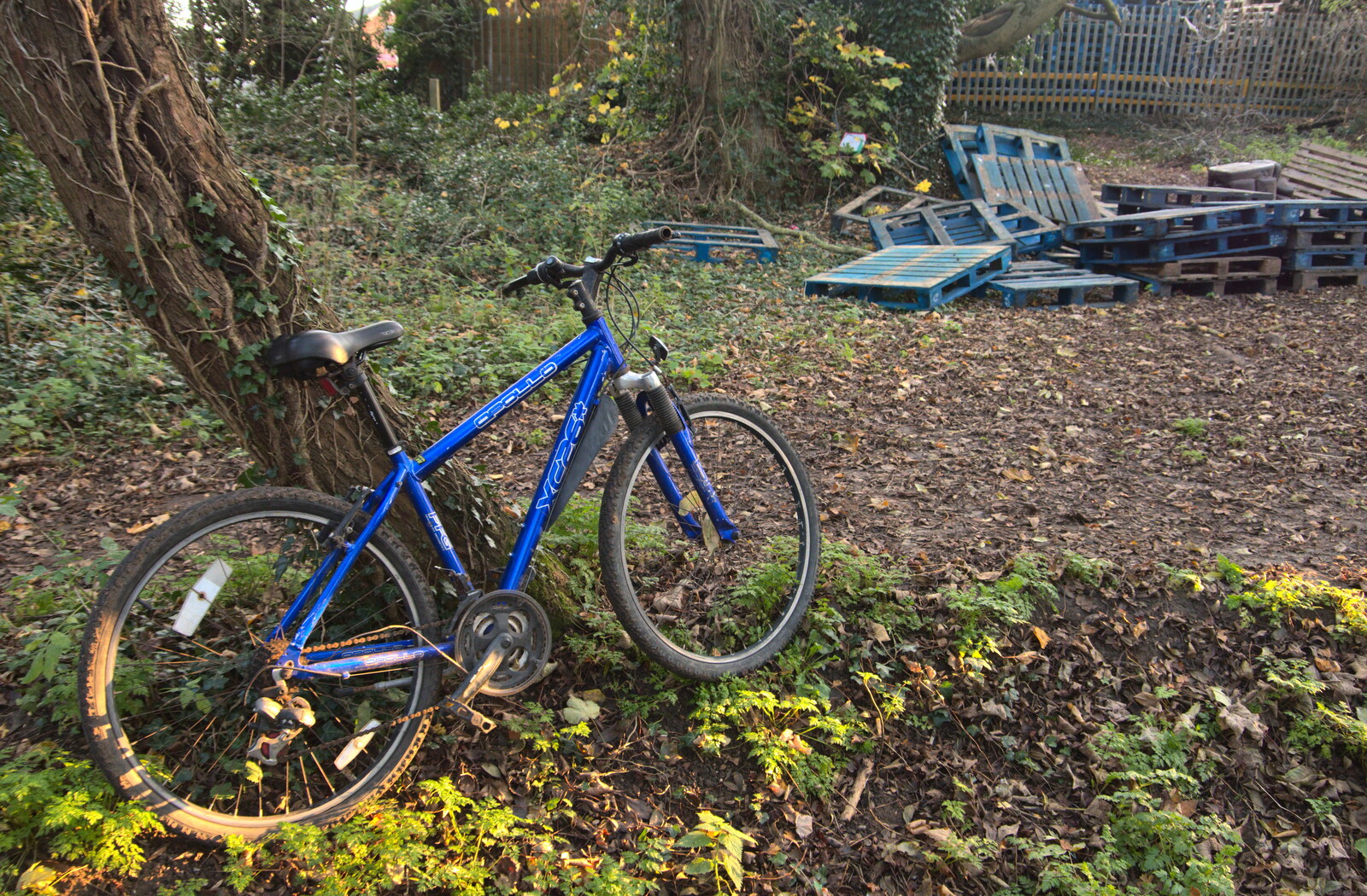 An old bike has been left in case anyone wants a go from The Dereliction of Eye, Suffolk - 22nd November 2020