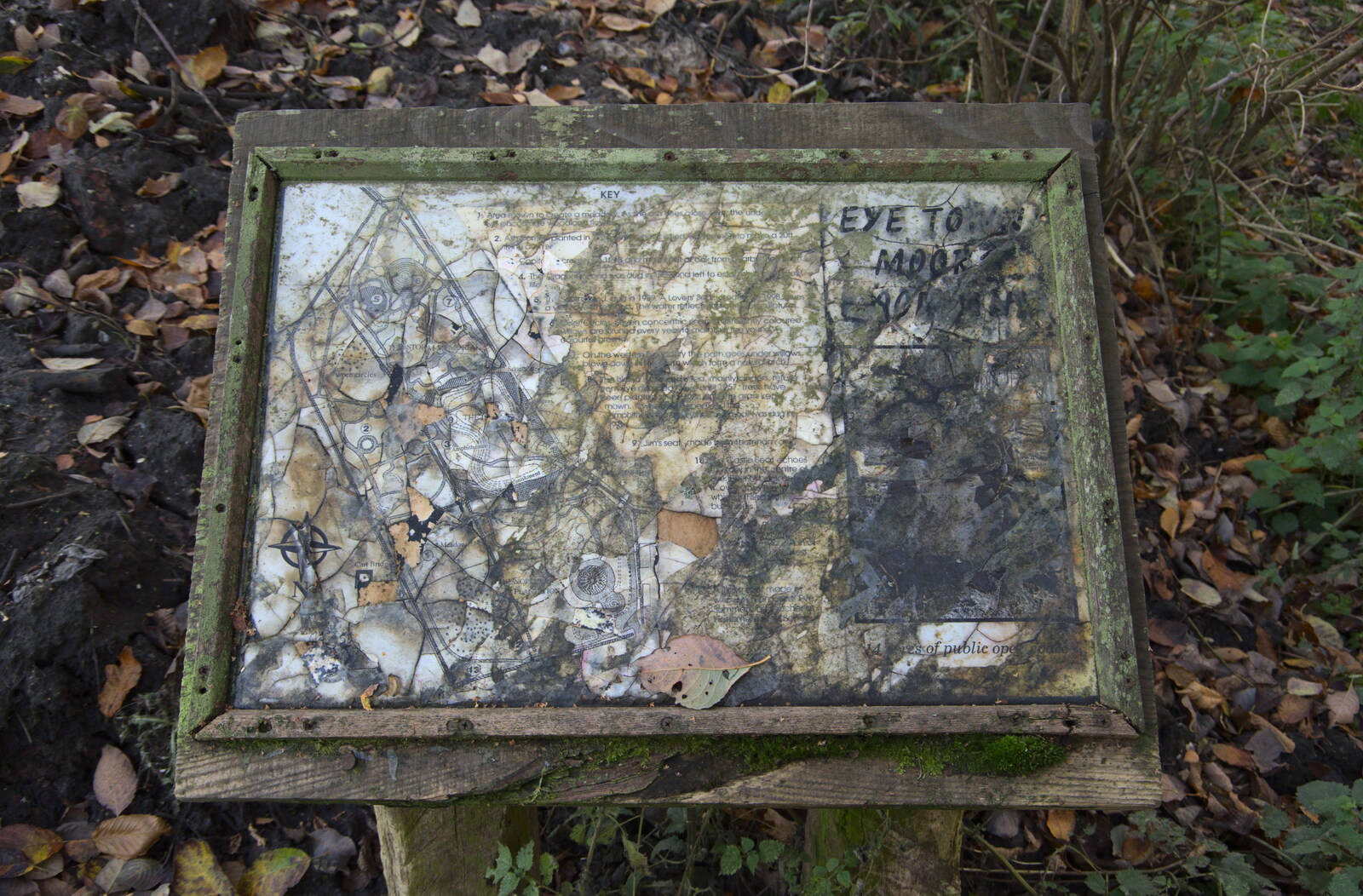 The sign for the Town Moors has seen better days from The Dereliction of Eye, Suffolk - 22nd November 2020