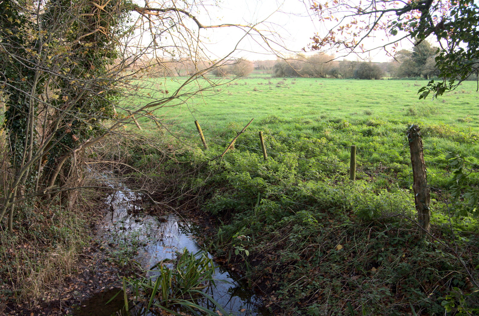 A little stream from The Dereliction of Eye, Suffolk - 22nd November 2020
