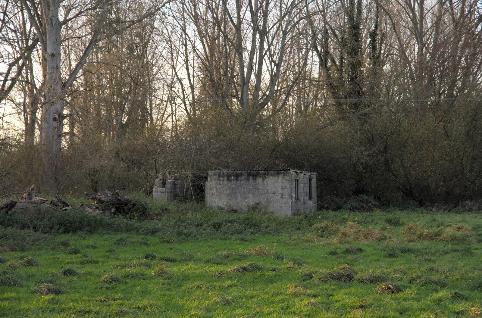 A derelict hut from The Dereliction of Eye, Suffolk - 22nd November 2020