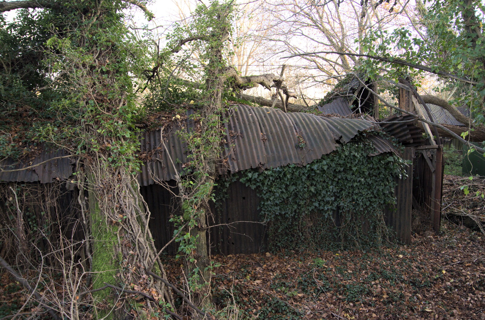 A large shed has been mostly crushed by trees from The Dereliction of Eye, Suffolk - 22nd November 2020