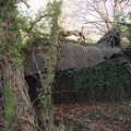 A large shed has been mostly crushed by trees, The Dereliction of Eye, Suffolk - 22nd November 2020