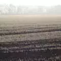 Silver frost on a field of winter wheat, Frosty Rides and a Christmas Tree, Diss Garden Centre, Diss, Norfolk - 29th November 2020