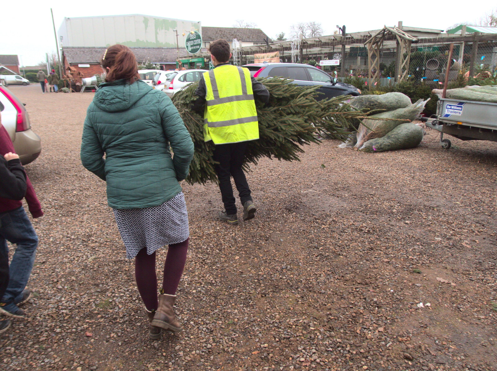 Our tree is hauled off to be string-bagged from Frosty Rides and a Christmas Tree, Diss Garden Centre, Diss, Norfolk - 29th November 2020