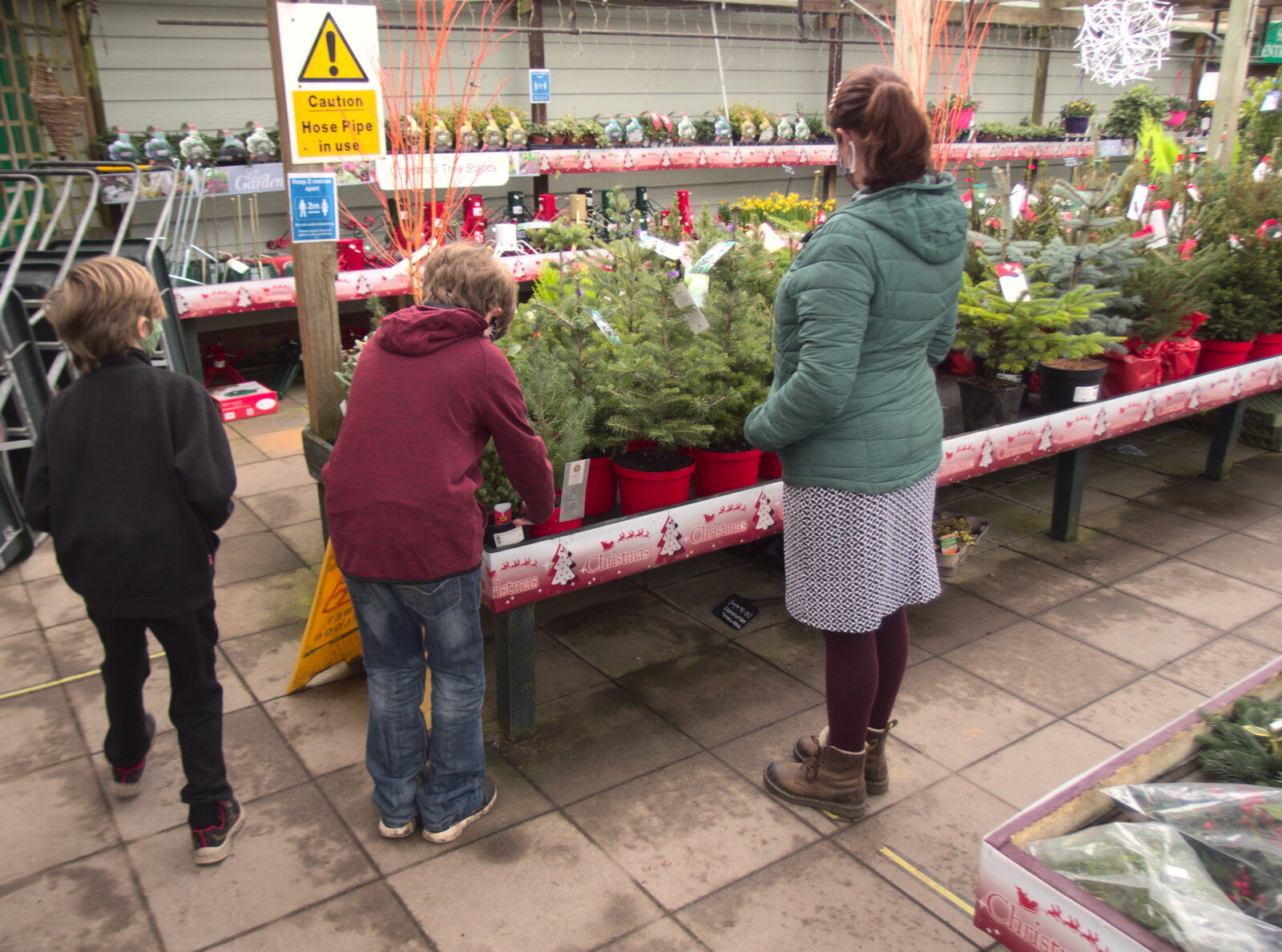 Fred picks a small potted tree for his bedroom from Frosty Rides and a Christmas Tree, Diss Garden Centre, Diss, Norfolk - 29th November 2020