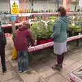 Fred picks a small potted tree for his bedroom, Frosty Rides and a Christmas Tree, Diss Garden Centre, Diss, Norfolk - 29th November 2020