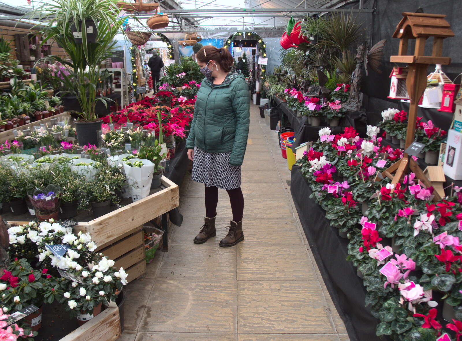 Isobel looks at plants from Frosty Rides and a Christmas Tree, Diss Garden Centre, Diss, Norfolk - 29th November 2020