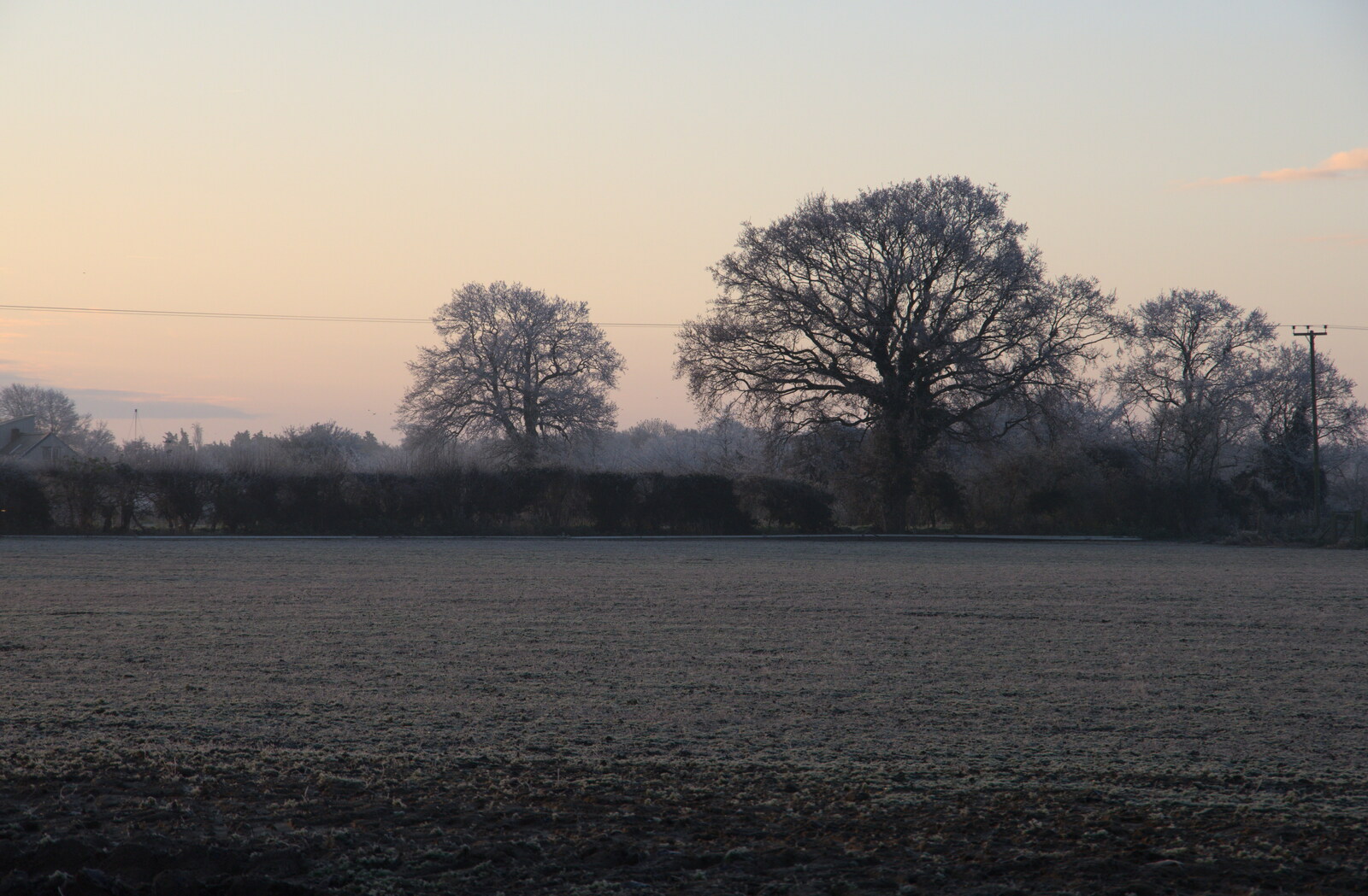 Frost on the field from A Return to the Oaksmere, Brome, Suffolk - 8th December 2020