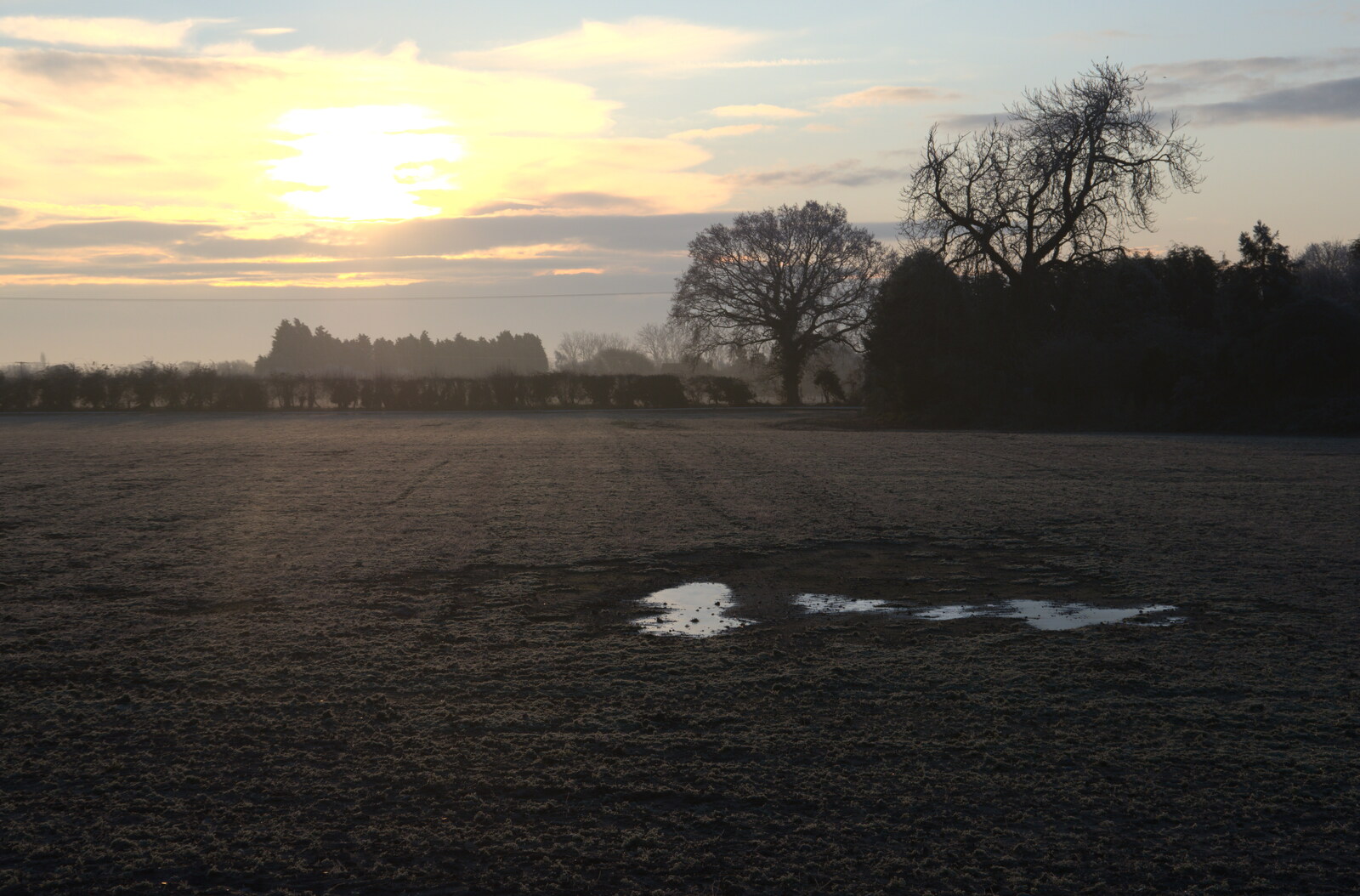 The sun hauls itself up from A Return to the Oaksmere, Brome, Suffolk - 8th December 2020