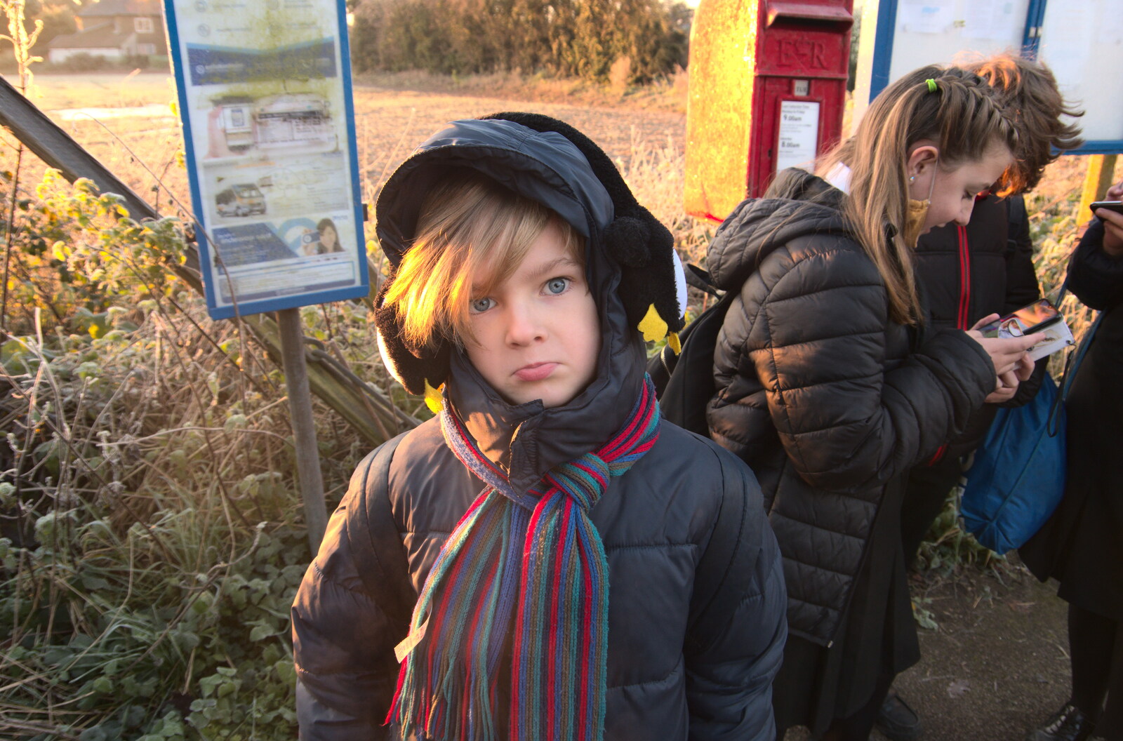 Harry is non-plussed as he doesn't have a phone yet from A Return to the Oaksmere, Brome, Suffolk - 8th December 2020