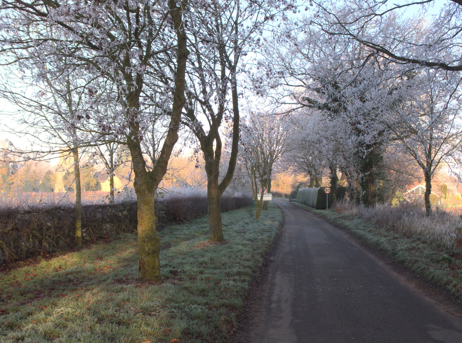 Frosty trees in Thrandeston from More Frosty Rides and the Old Mink Sheds, Brome, Suffolk - 10th December 2020