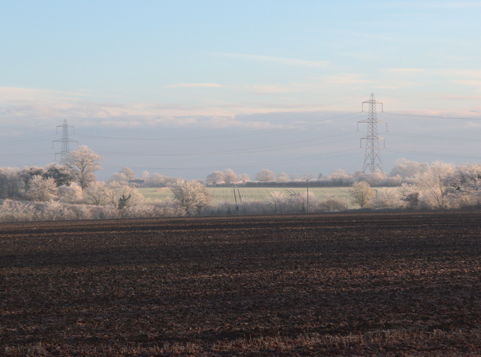 Frozen trees and pylons in the distance from More Frosty Rides and the Old Mink Sheds, Brome, Suffolk - 10th December 2020
