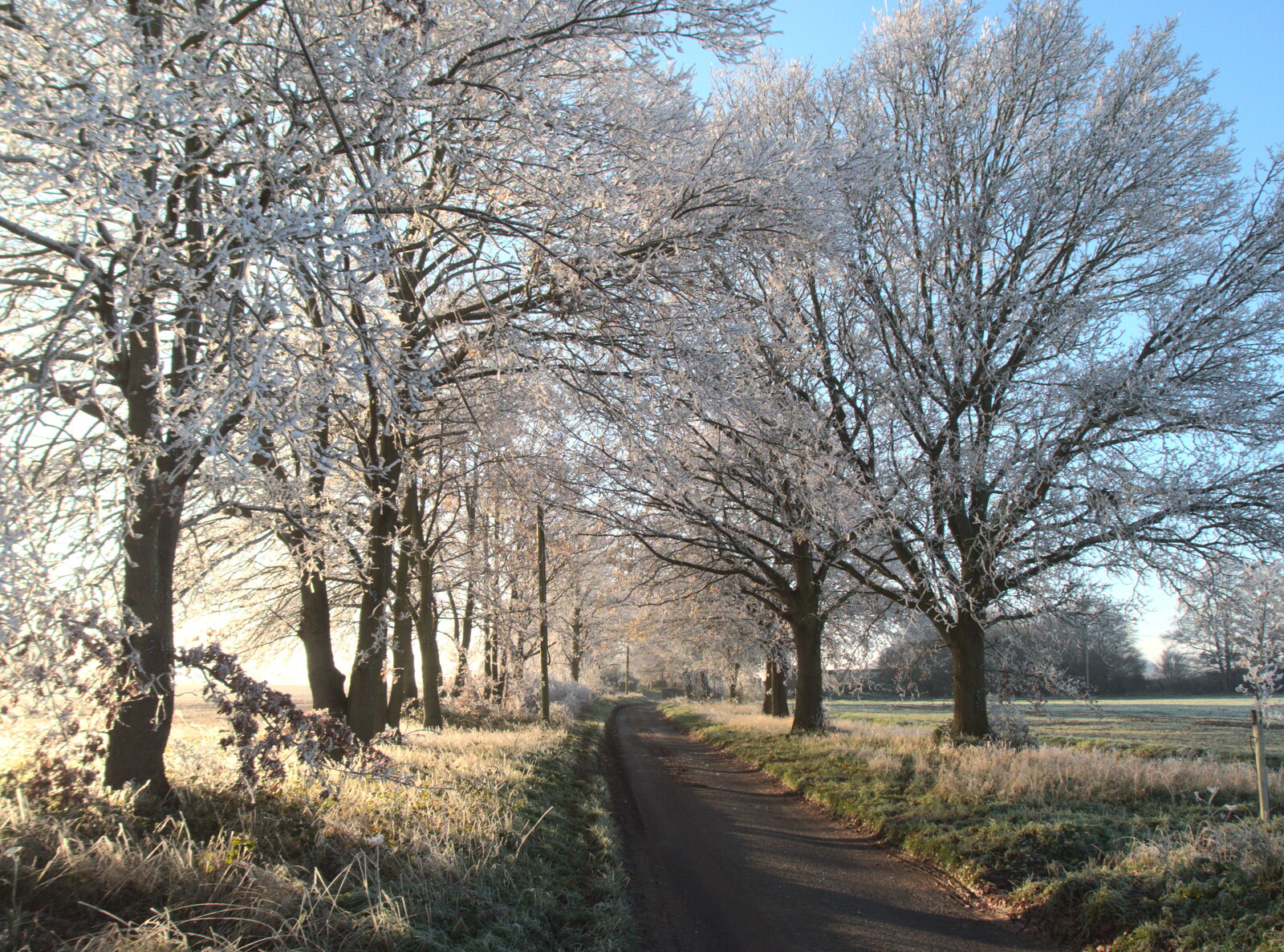 The road out of Thrandeston from More Frosty Rides and the Old Mink Sheds, Brome, Suffolk - 10th December 2020