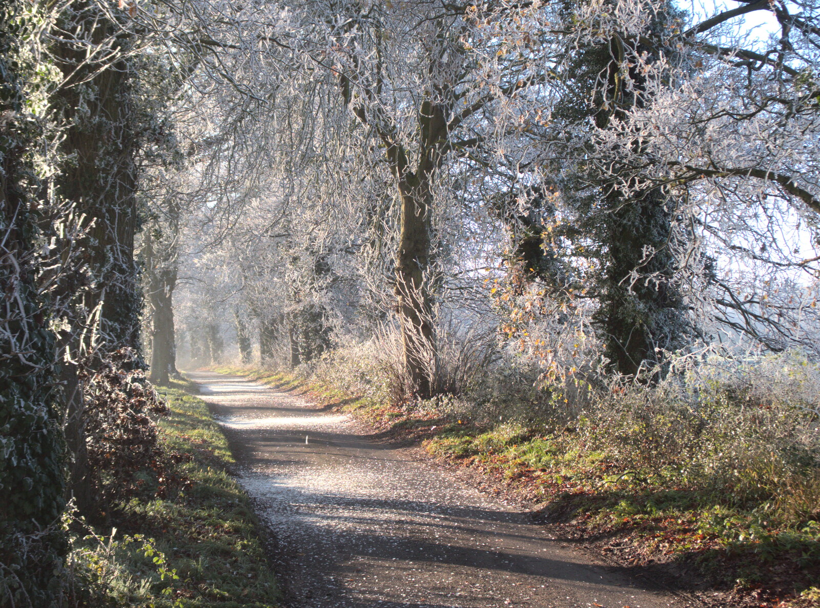 The road to Thornham from More Frosty Rides and the Old Mink Sheds, Brome, Suffolk - 10th December 2020