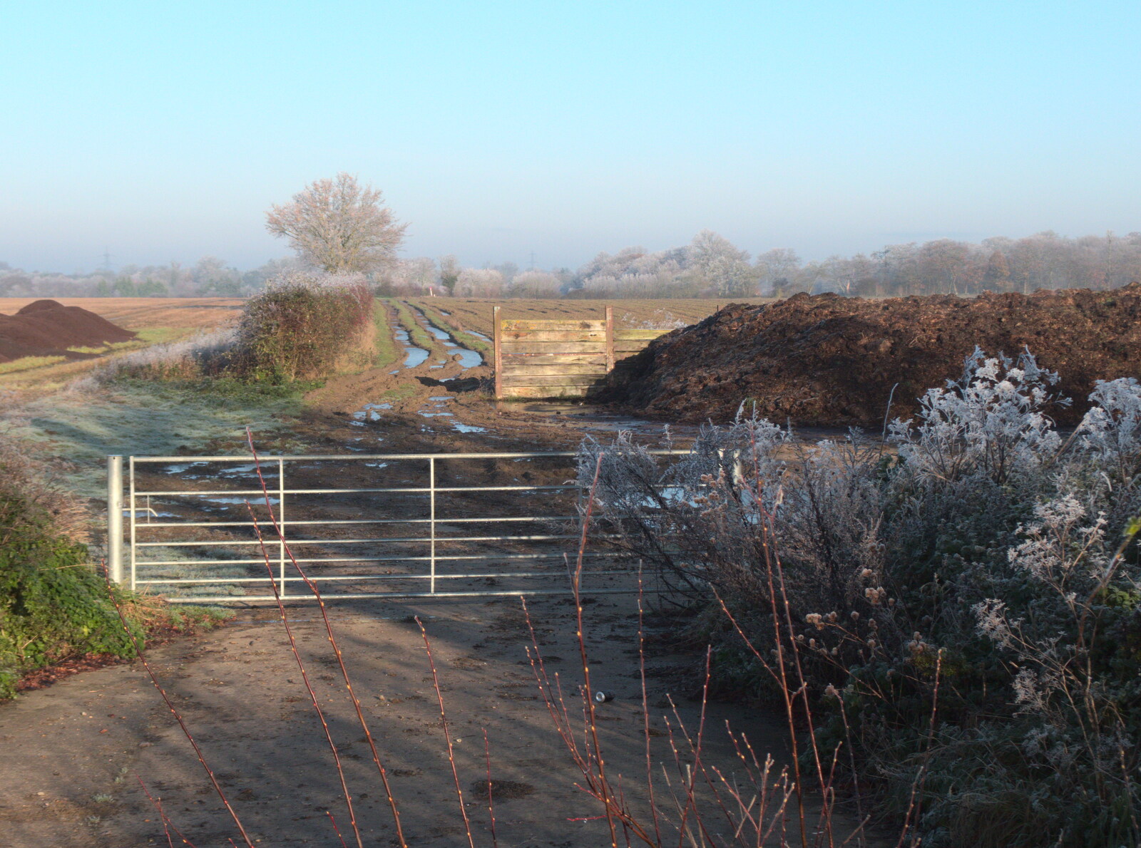 A gate and path off Yaxley Road from More Frosty Rides and the Old Mink Sheds, Brome, Suffolk - 10th December 2020