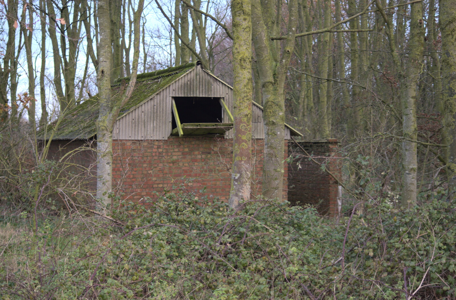 Part of a WWII airfield shed from More Frosty Rides and the Old Mink Sheds, Brome, Suffolk - 10th December 2020