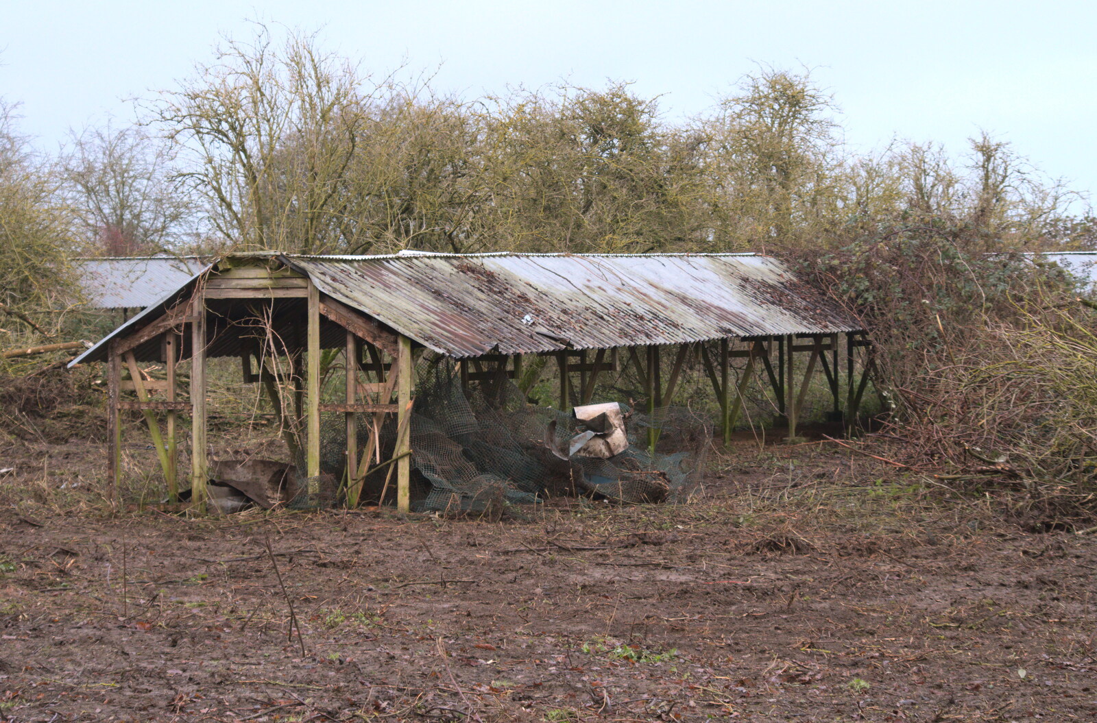 The remains of an old mink shed from More Frosty Rides and the Old Mink Sheds, Brome, Suffolk - 10th December 2020