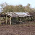 2020 The remains of an old mink shed