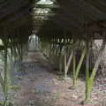 Inside a mink shed, More Frosty Rides and the Old Mink Sheds, Brome, Suffolk - 10th December 2020