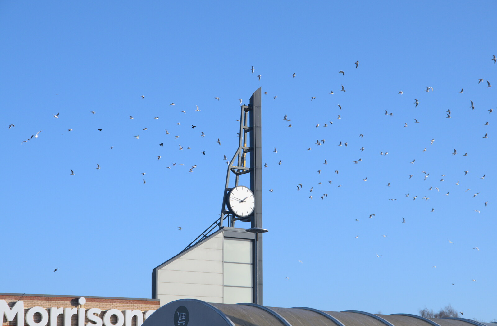 A load of birds whirl around Morrisons' clock from Joe Wicks and Diss on Saturday, Norfolk - 19th December 2020