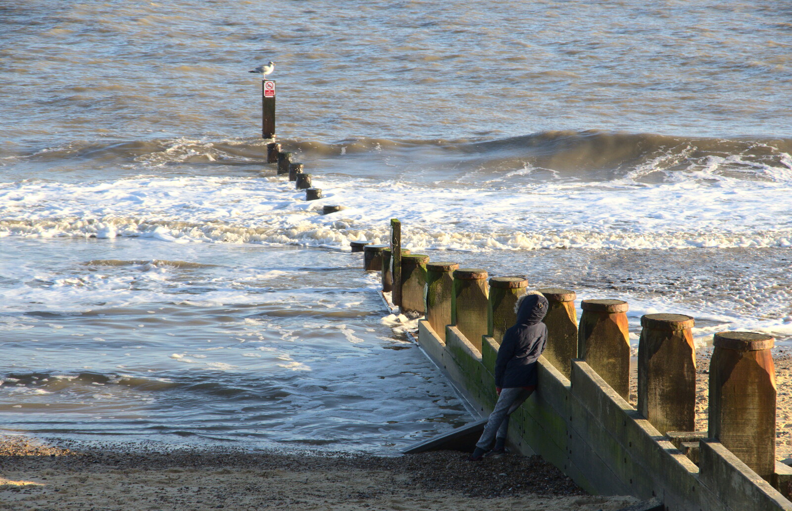 Harry leans on a groyne and stares out to sea from A Return to the Beach, Southwold, Suffolk - 20th December 2020