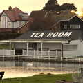 2020 A lone swan floats around by the tea rooms