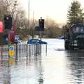 Serious Loggin' comes back from the care home, The Christmas Eve Floods, Diss, Norfolk - 24th December 2020