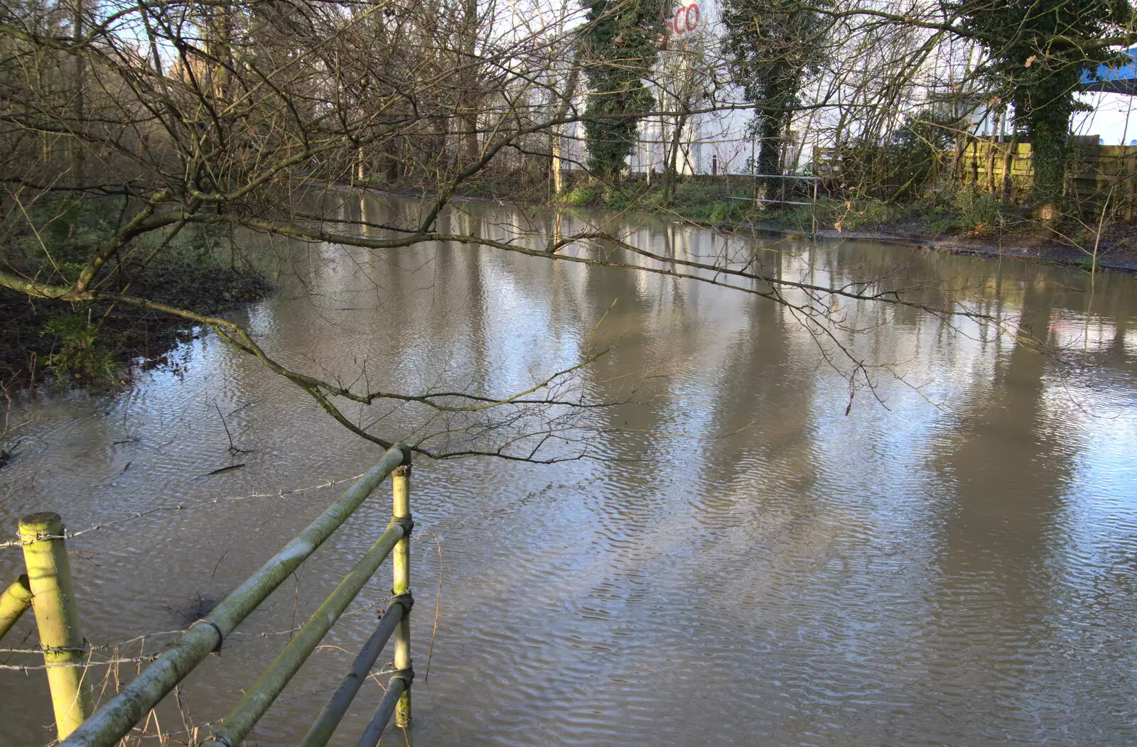 The Waveney has predictably flooded near the Lows, from The Christmas Eve Floods, Diss, Norfolk - 24th December 2020