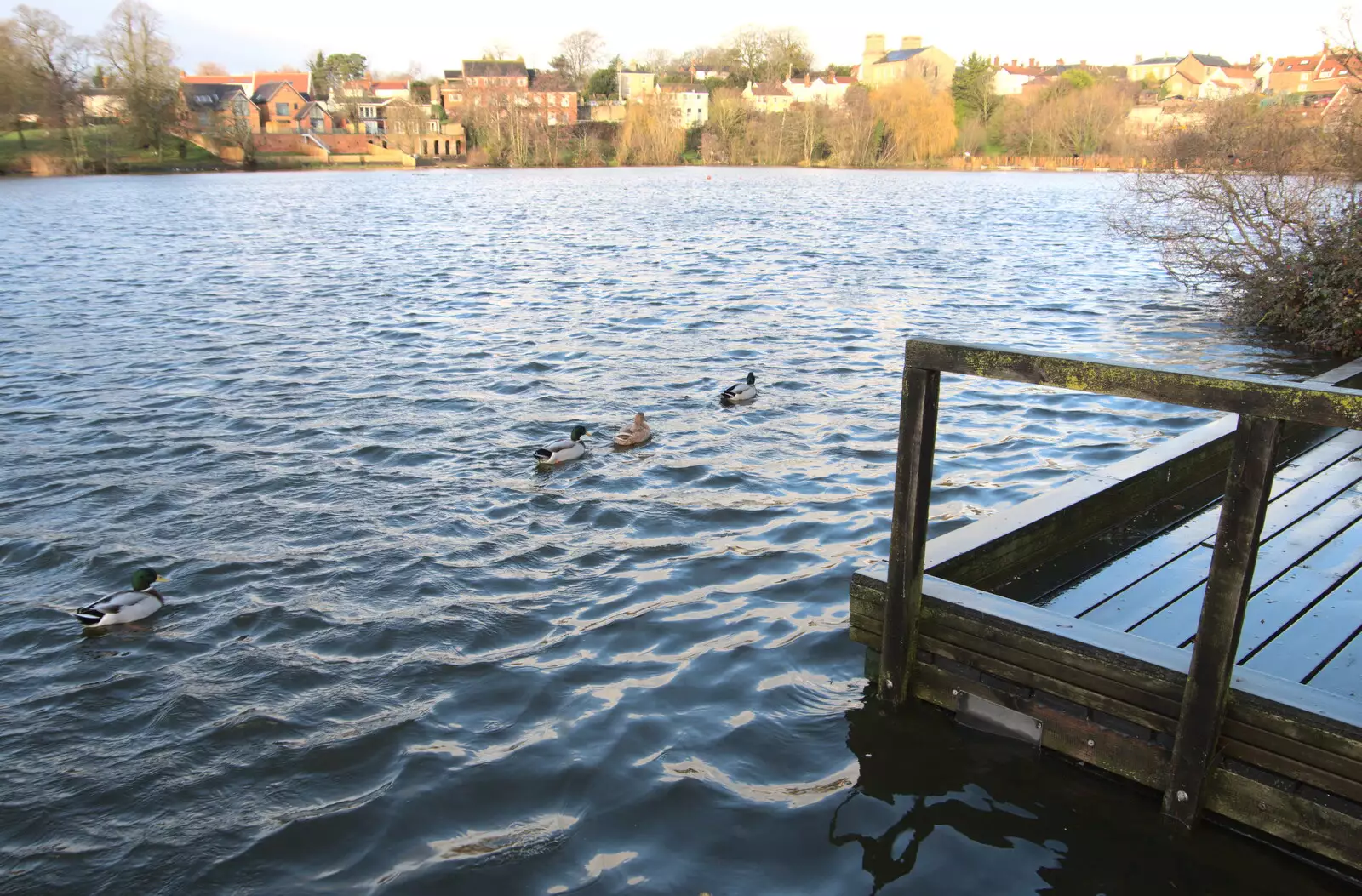 The water-level marker has disappeared in The Mere, from The Christmas Eve Floods, Diss, Norfolk - 24th December 2020