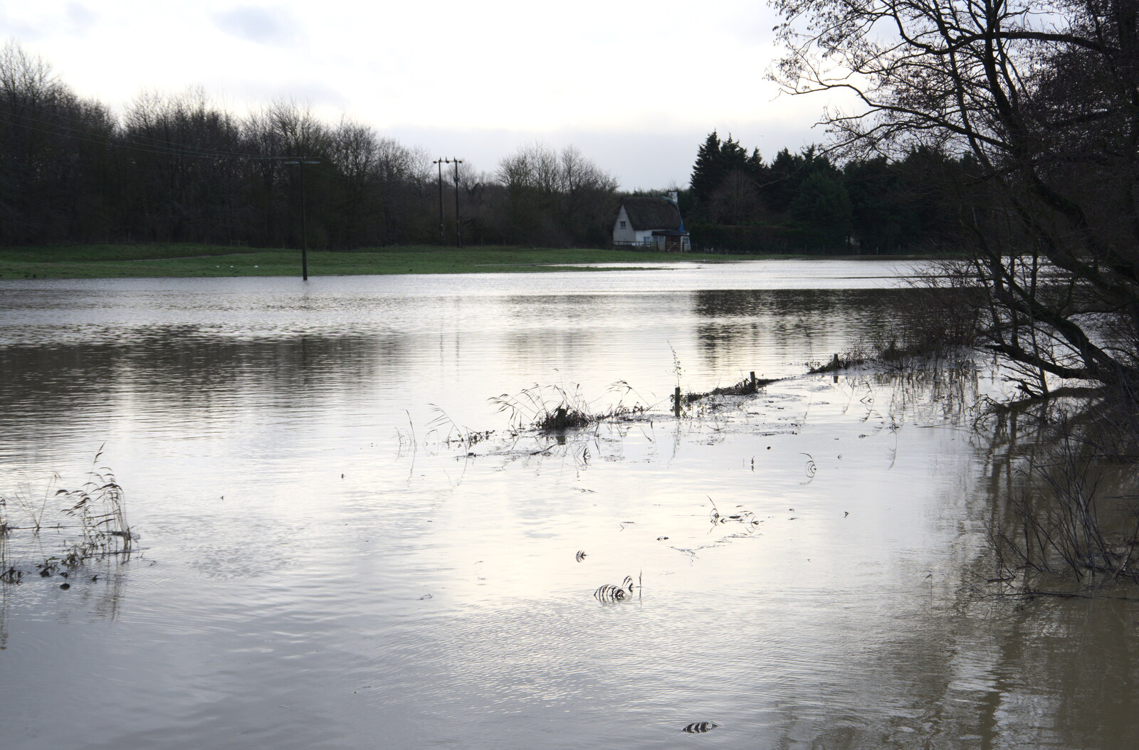 The meadow near the gold club from The Christmas Eve Floods, Diss, Norfolk - 24th December 2020