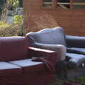 2020 One of the sofas steams in the sun