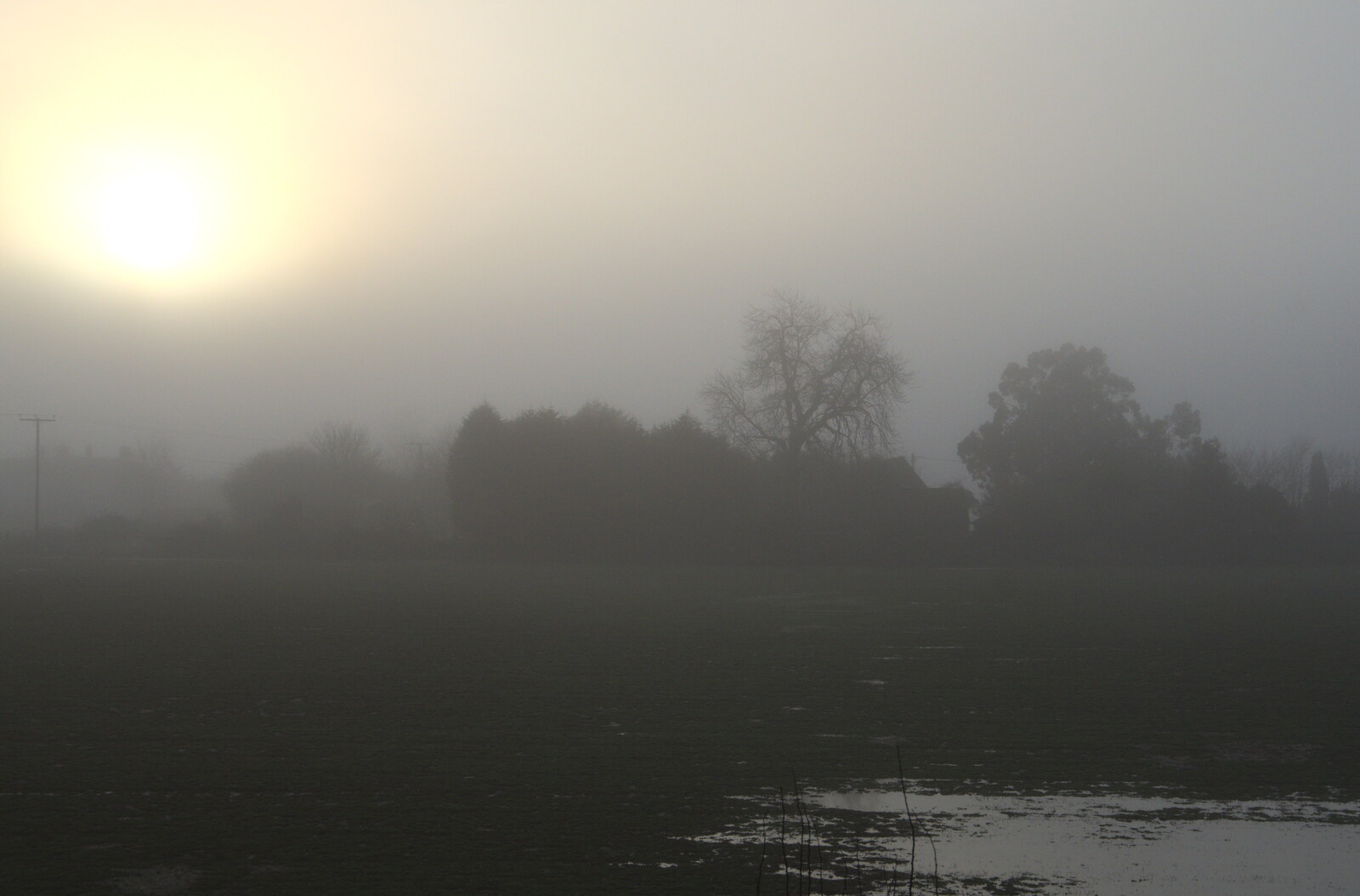 It's a misty morning over the side field from A Virtual New Year's Eve, Brome, Suffolk - 31st December 2020