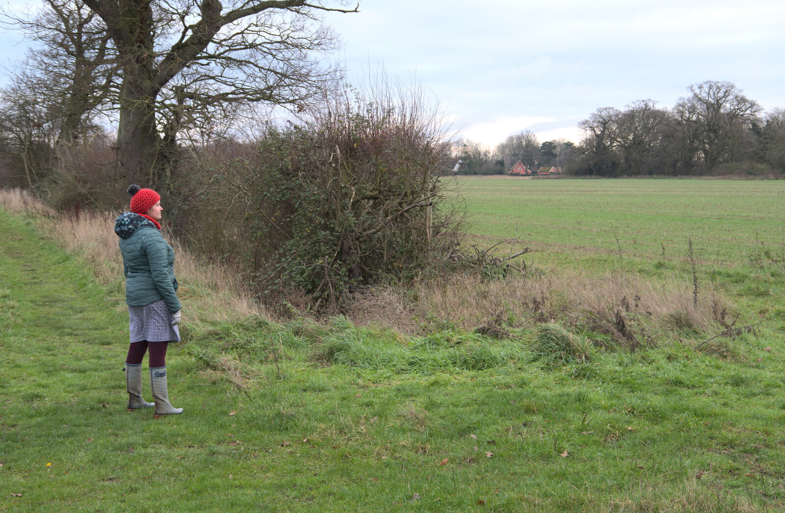Isobel looks out over a field from A Virtual New Year's Eve, Brome, Suffolk - 31st December 2020