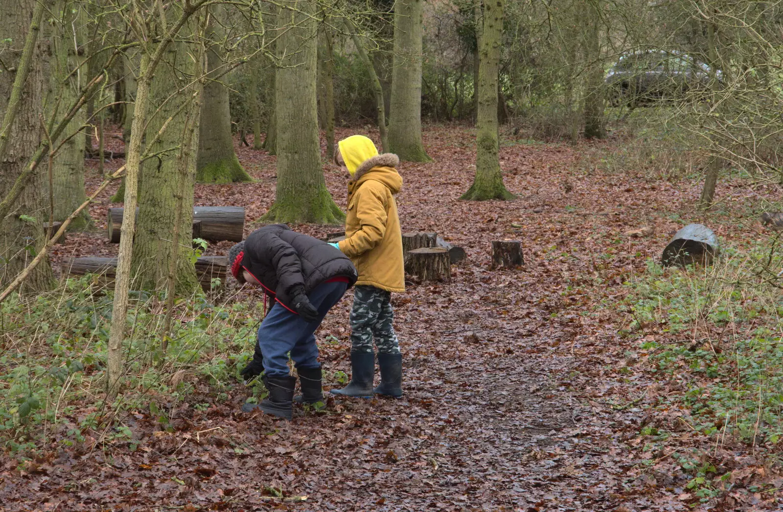 Fred rumages around , from A Walk Around Redgrave and Lopham Fen, Redgrave, Suffolk - 3rd January 2021