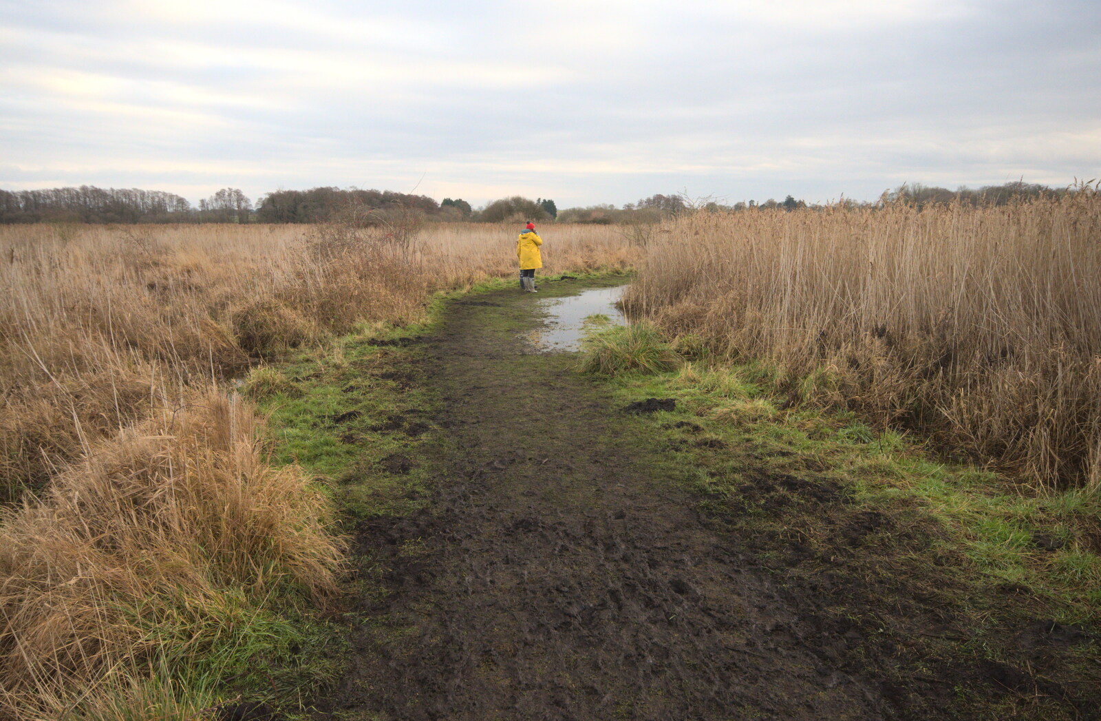 Isobel out on the watery path from A Walk Around Redgrave and Lopham Fen, Redgrave, Suffolk - 3rd January 2021