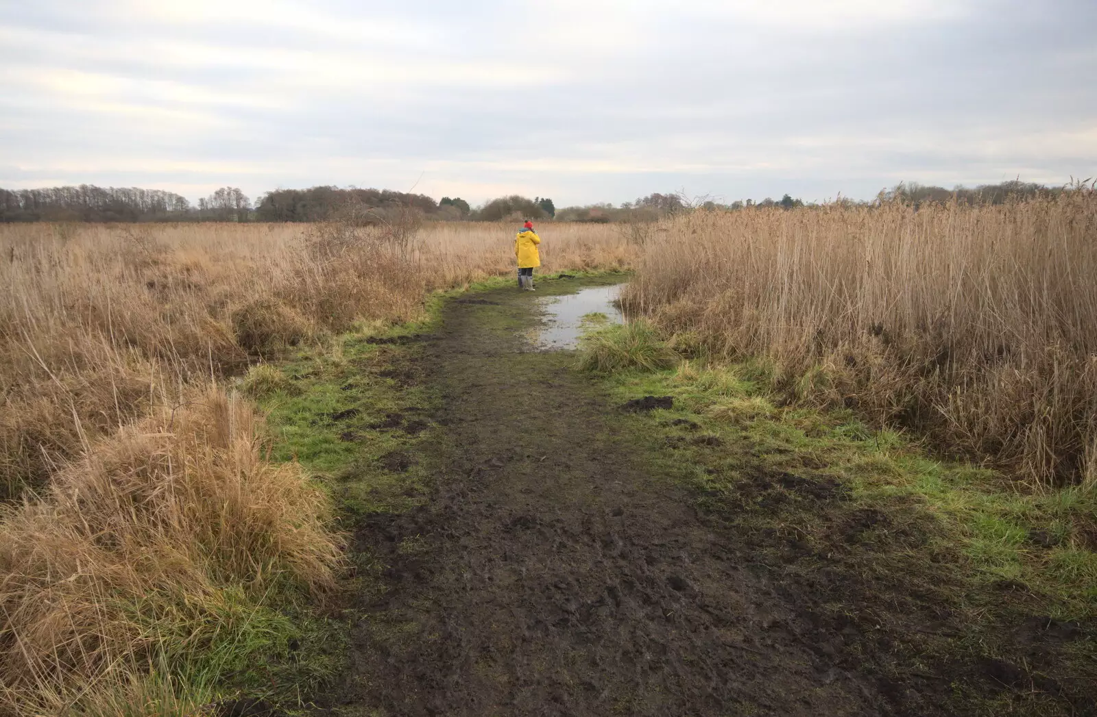 Isobel out on the watery path, from A Walk Around Redgrave and Lopham Fen, Redgrave, Suffolk - 3rd January 2021