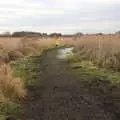 Isobel out on the watery path, A Walk Around Redgrave and Lopham Fen, Redgrave, Suffolk - 3rd January 2021