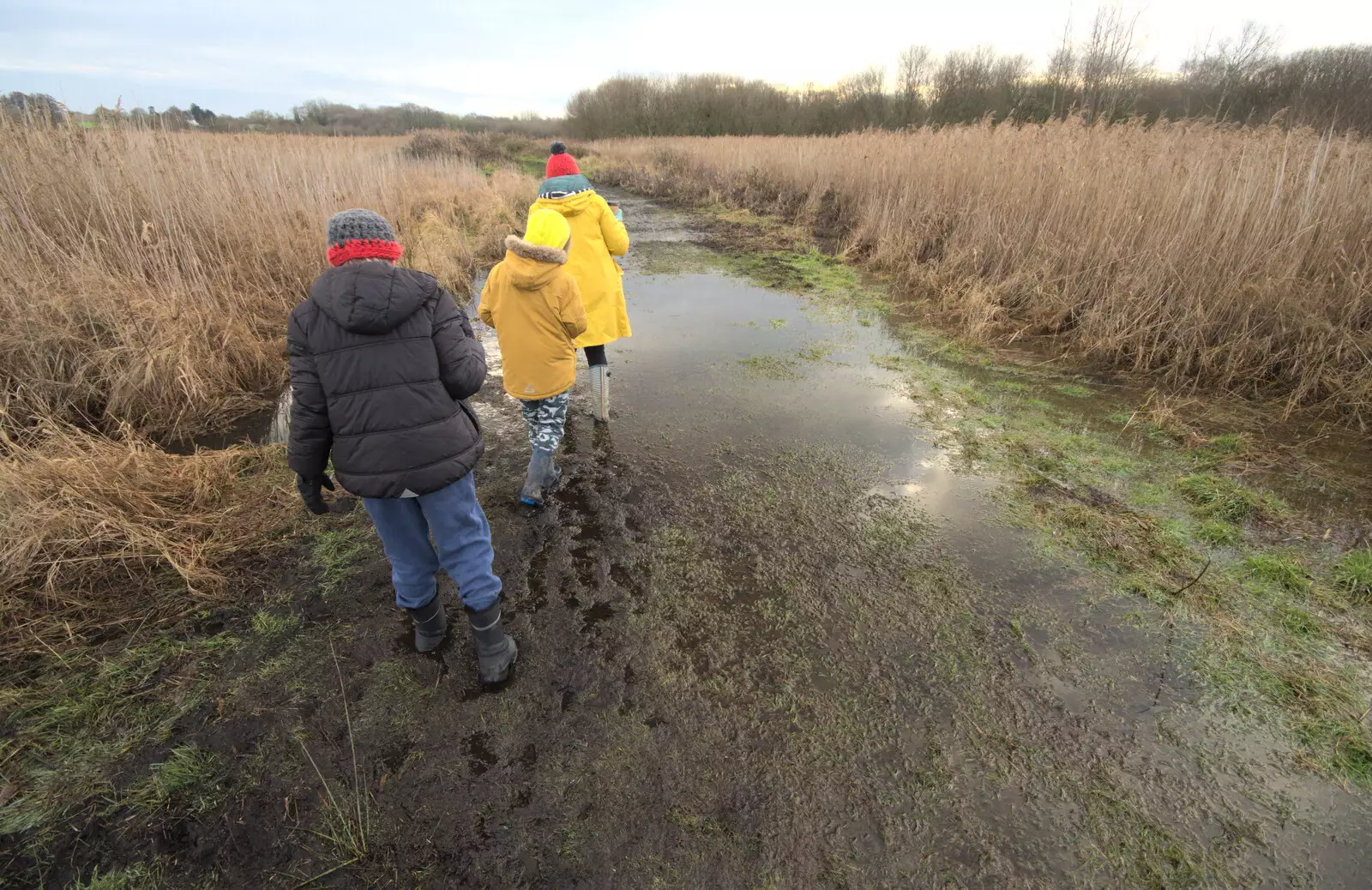 There's not much difference between path and fen, from A Walk Around Redgrave and Lopham Fen, Redgrave, Suffolk - 3rd January 2021