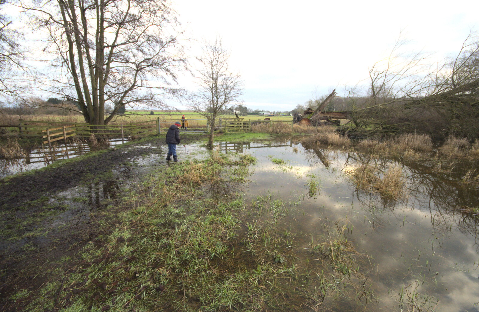 Fred navigates the flooded path from A Walk Around Redgrave and Lopham Fen, Redgrave, Suffolk - 3rd January 2021