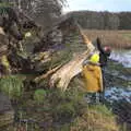 Fred takes a photo of the tree's rings, A Walk Around Redgrave and Lopham Fen, Redgrave, Suffolk - 3rd January 2021