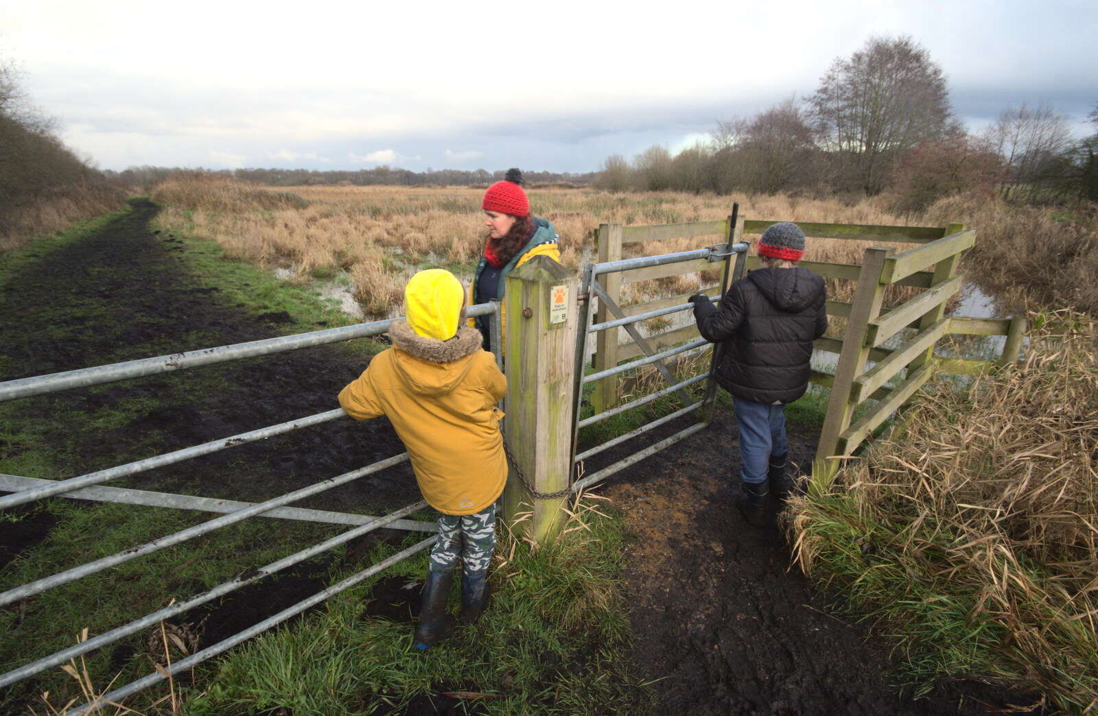Harry hangs on a gate from A Walk Around Redgrave and Lopham Fen, Redgrave, Suffolk - 3rd January 2021